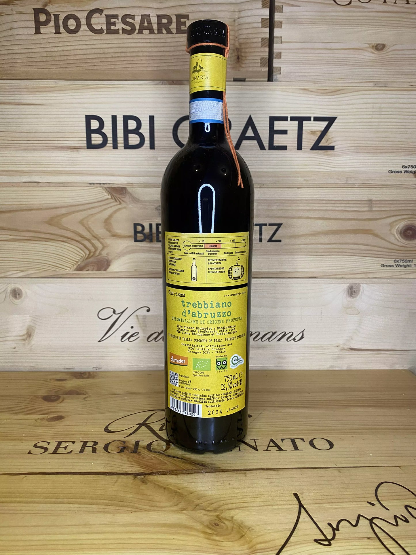 Charisma Trebbiano d’Abruzzo – Cantina Orsogna