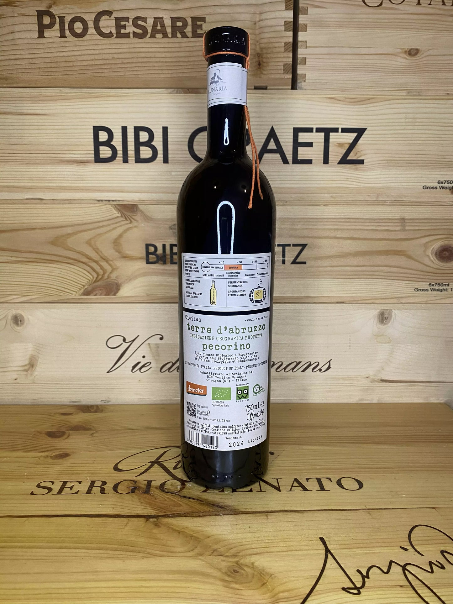 Civitas Pecorino – Cantina Orsogna
