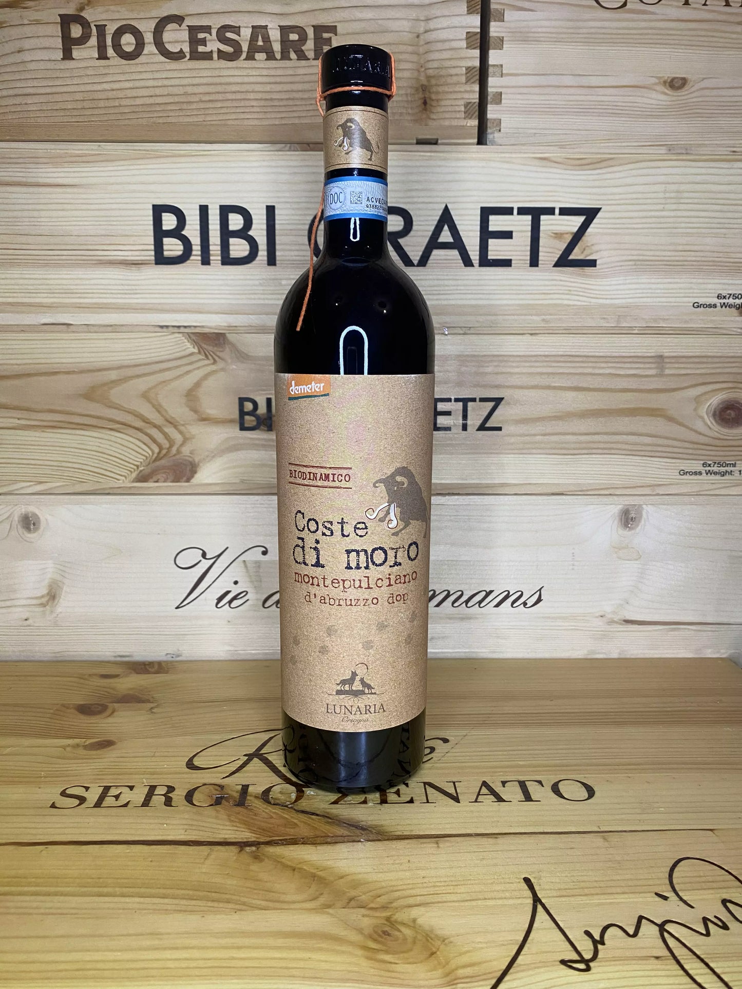 Coste di Moro – Cantina Orsogna