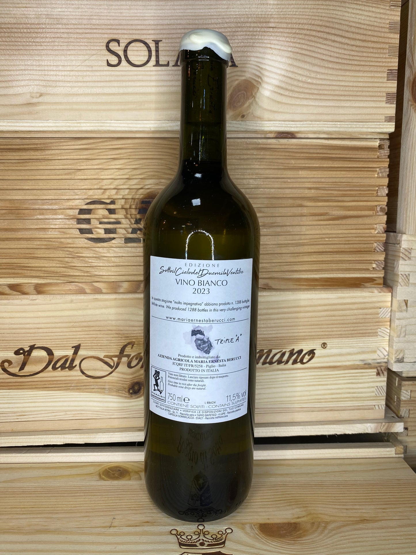 Maria Ernesta Berucci Raphael vino bianco sotto il cielo del 2023