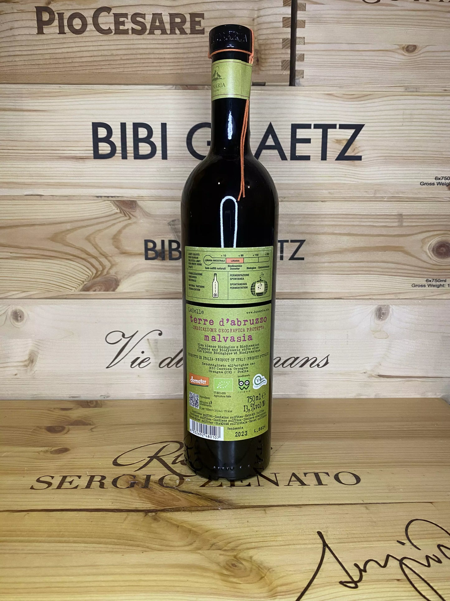 Labelle Malvasia – Cantina Orsogna