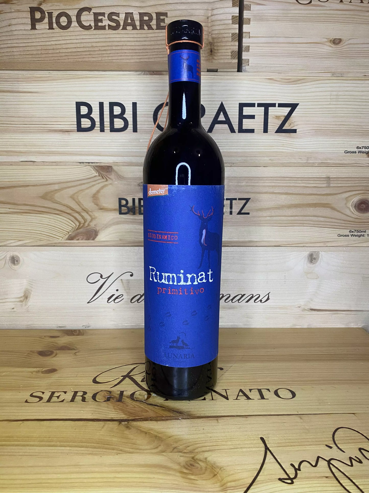 Primitivo Terre d’Abruzzo – Cantina Orsogna