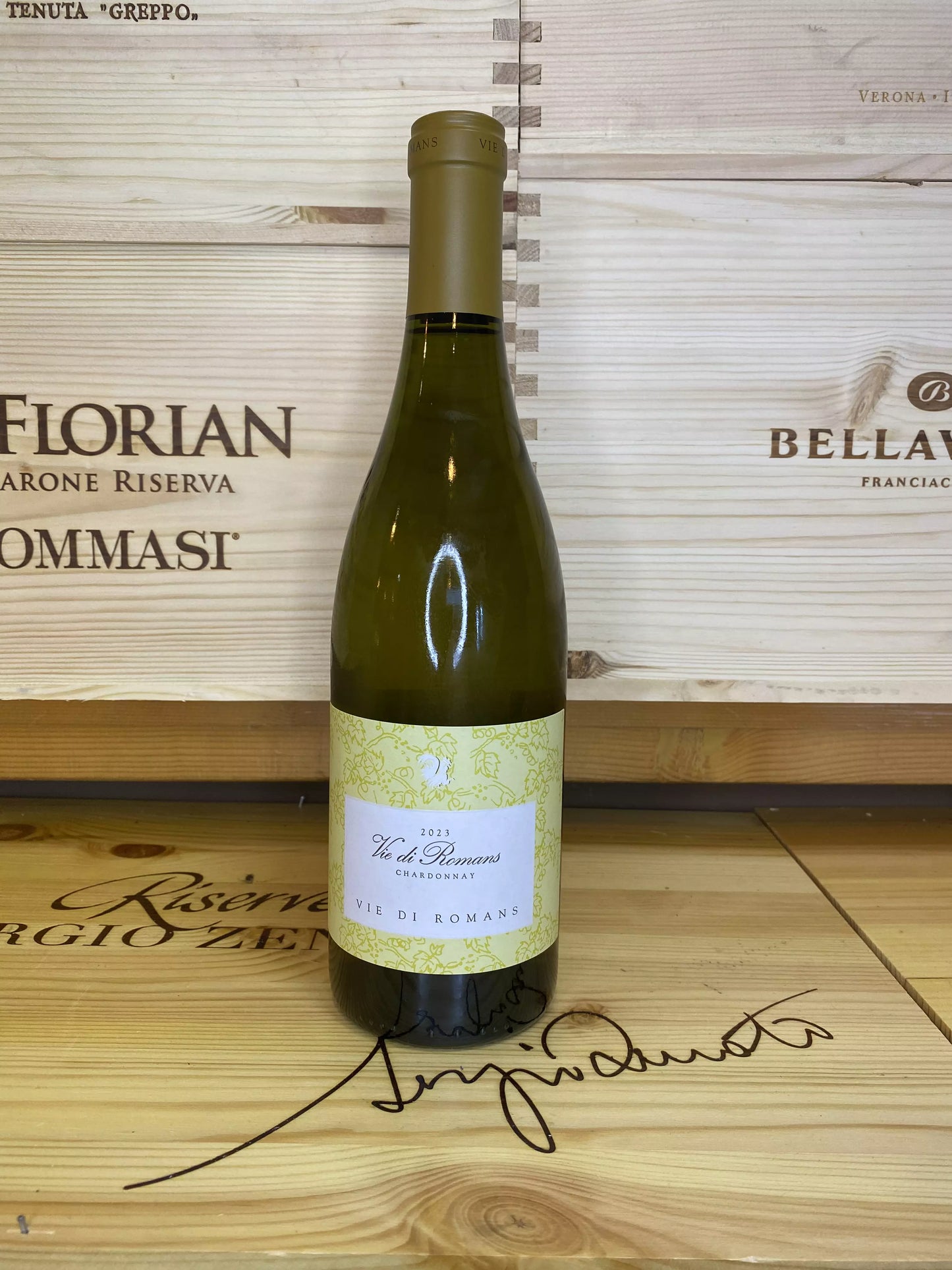 Chardonnay – Vie di Romans
