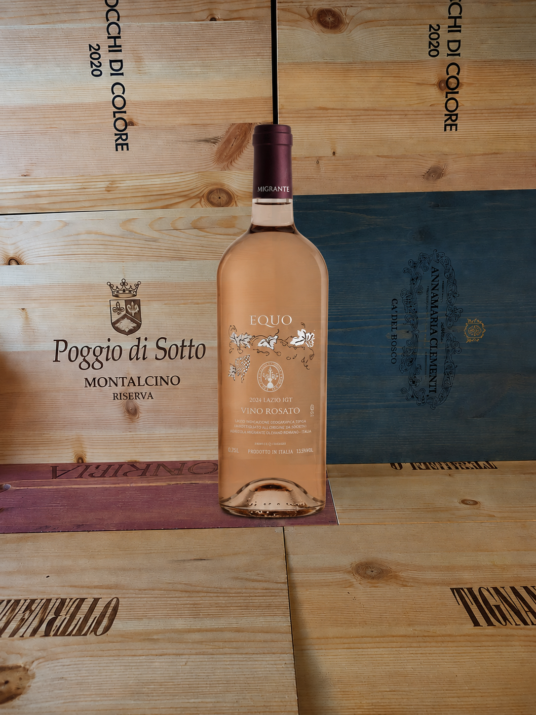 Equo rosato Migrante