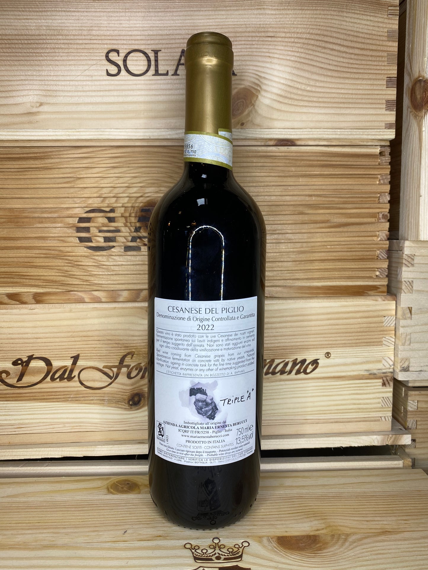 Maria Ernesta Berucci Raphael Cesanese del piglio