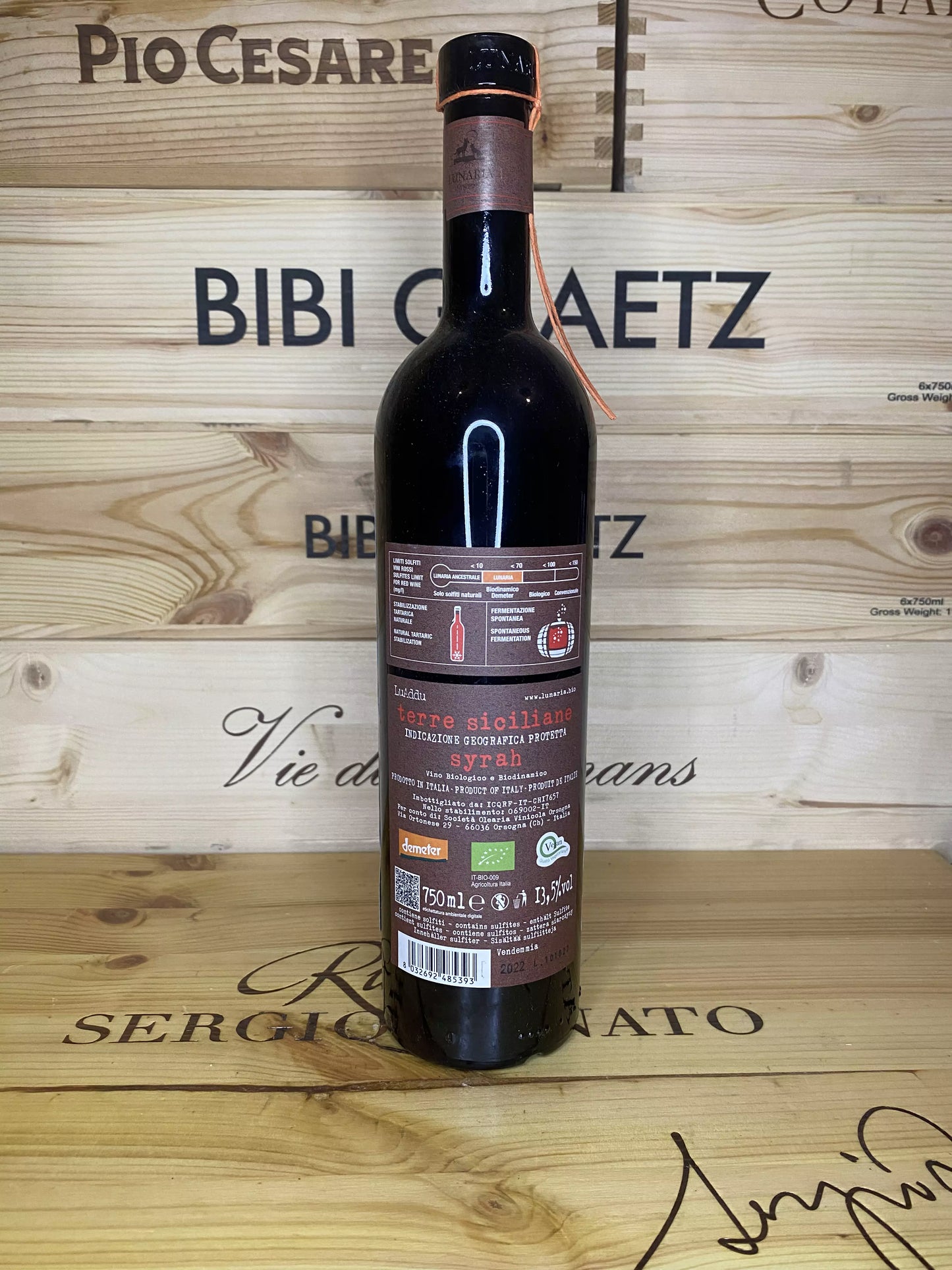 Luàddu Syrah – Cantina Orsogna