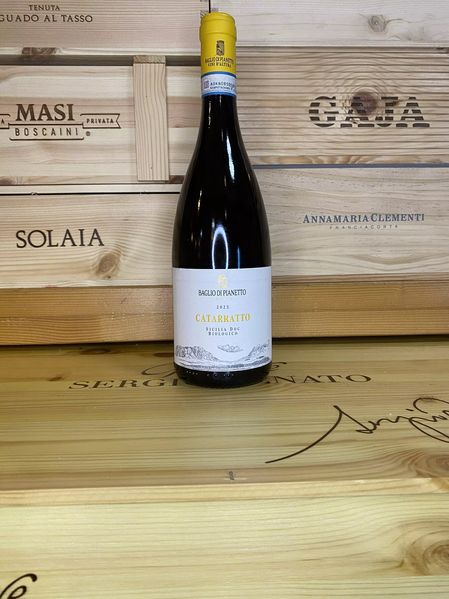 Catarratto – Baglio di Pianetto