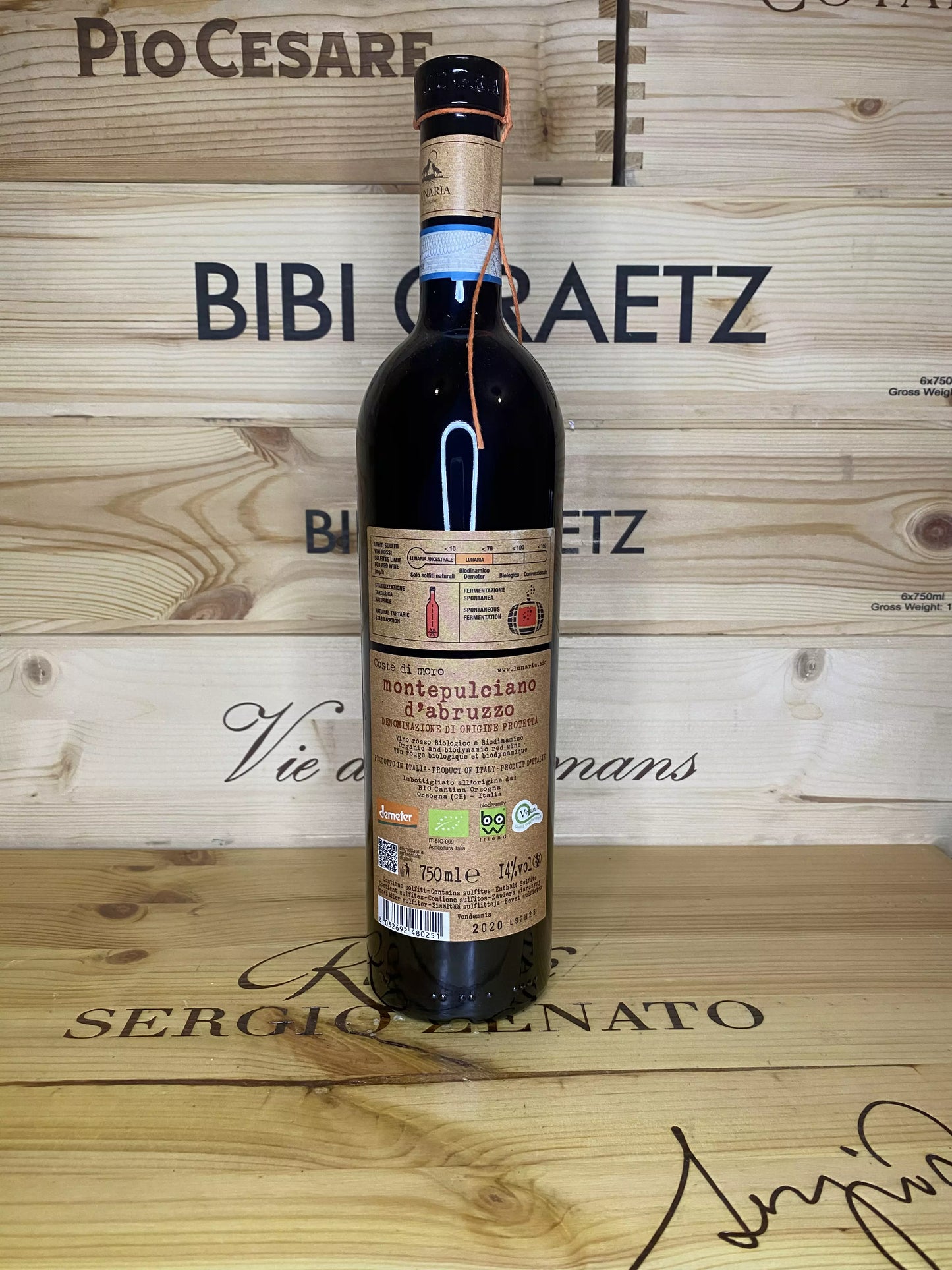 Coste di Moro – Cantina Orsogna