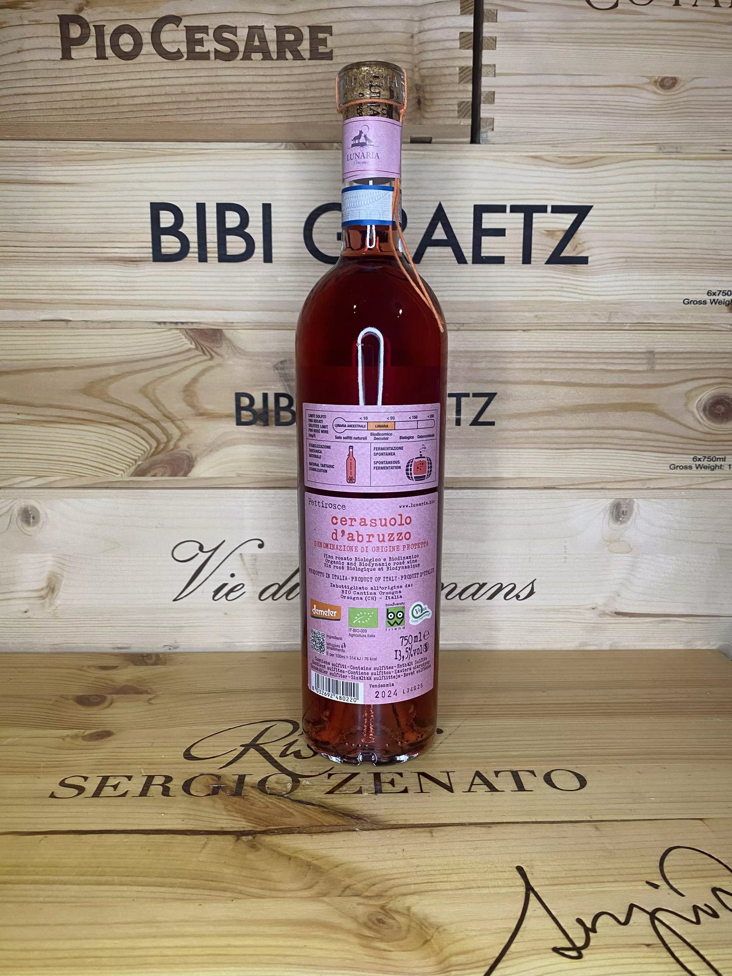 Pettirosce – Cantina Orsogna