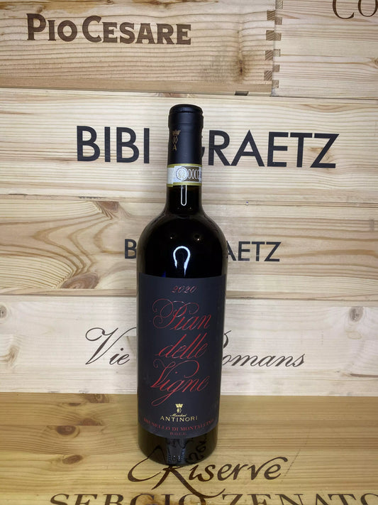 Pian delle Vigne 2019 – Marchesi Antinori