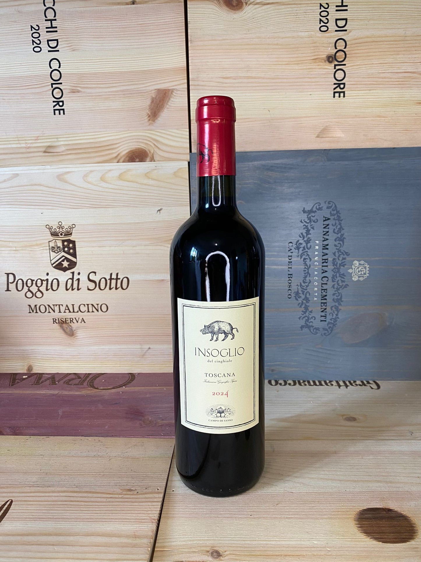 Insoglio del cinghiale