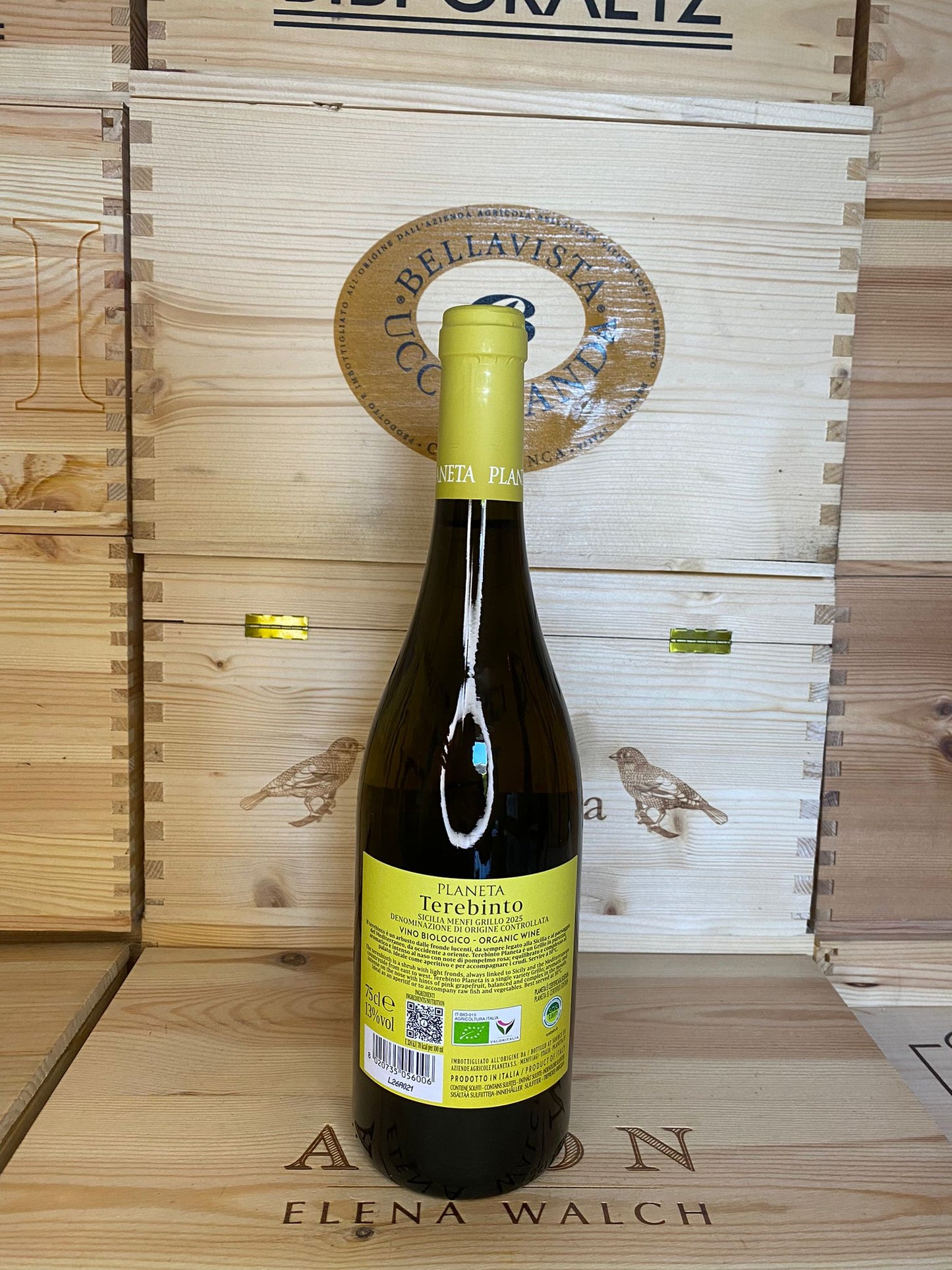 Terebinto grillo planeta