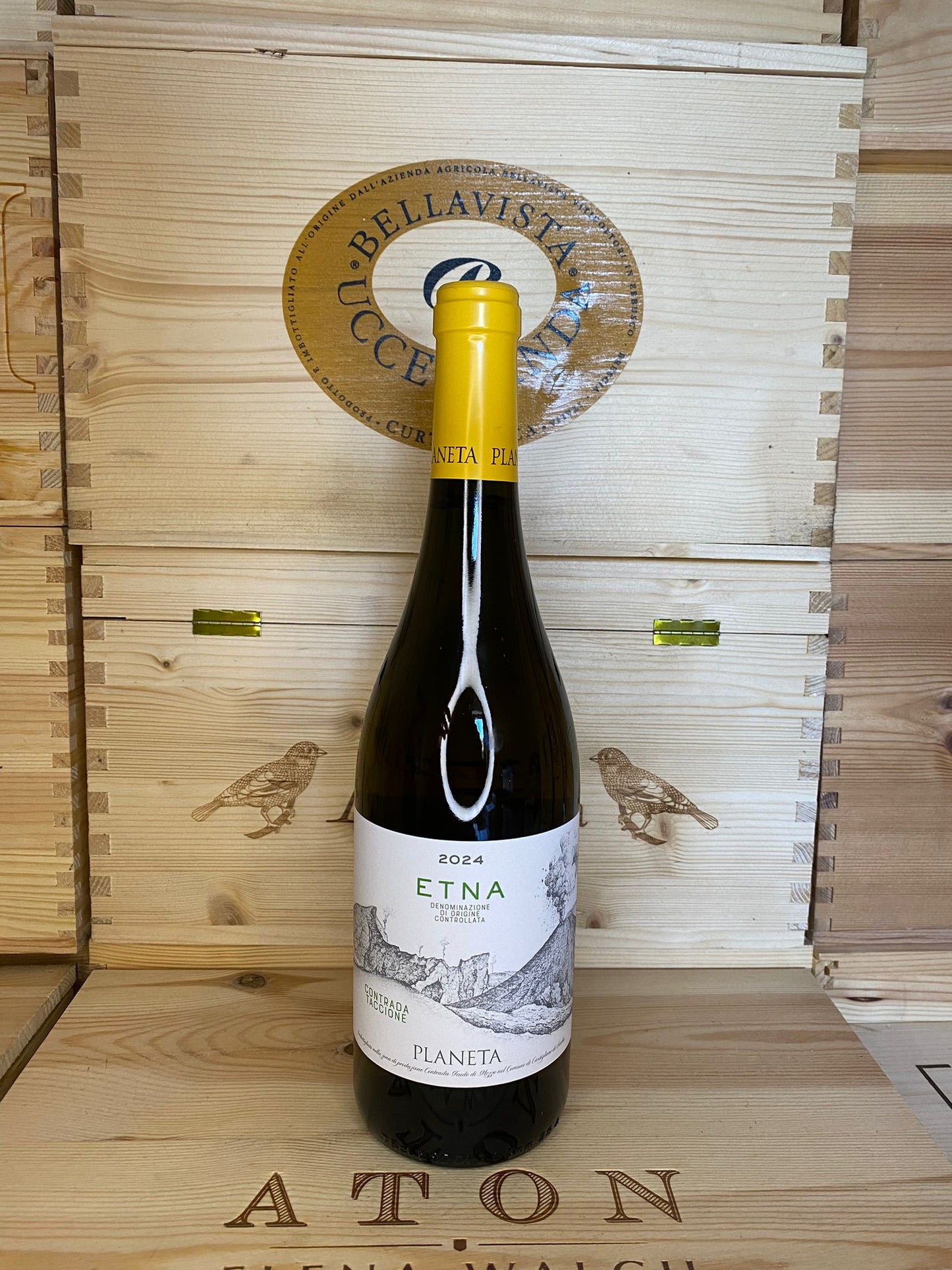 Contrada taccione etna bianco planeta